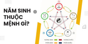 1980 mệnh gì? Tuổi Canh Thân hợp màu gì, hướng nào, hợp tuổi nào để may mắn và tài lộc